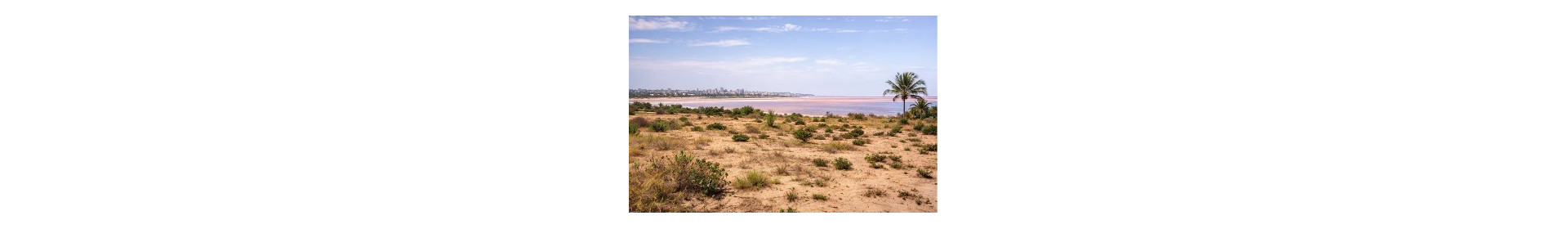 Bayakh