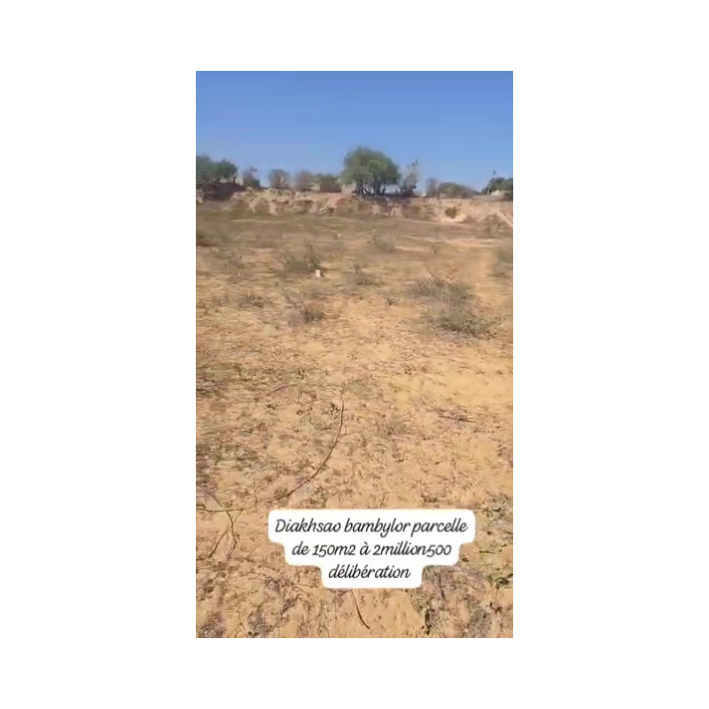 Bambilor/Diajhsao