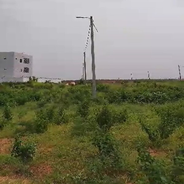 Sebikotane