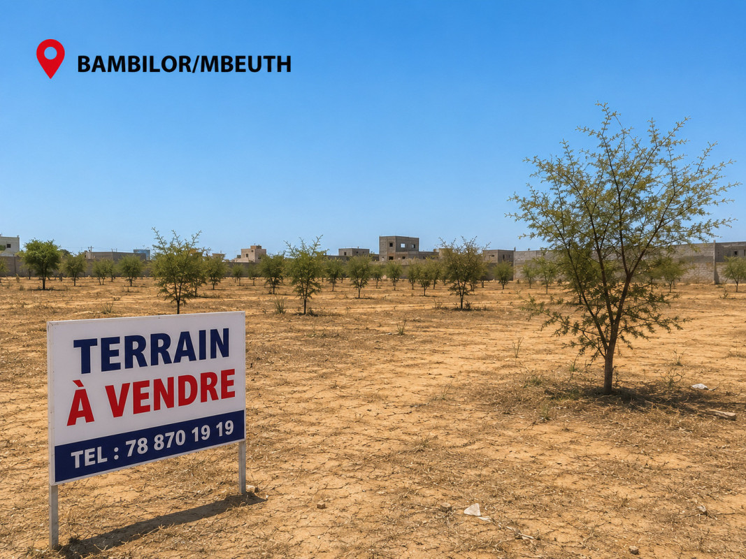 Bambilor/mbeuth
